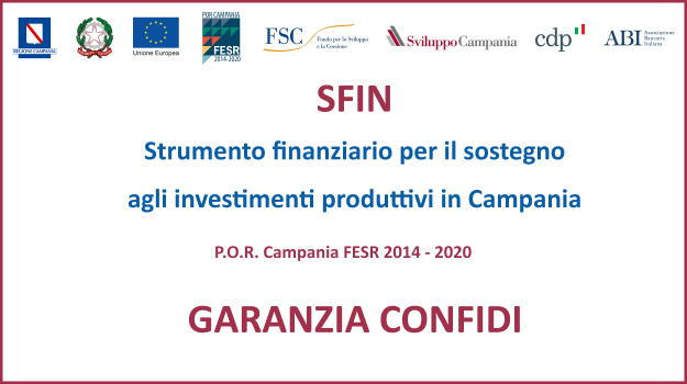 SFIN-GaranziaConfidi_small