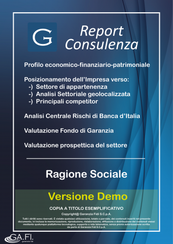 GAFI-Demo_Report_Consulenza_Copertina