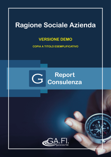Report Consulenza - Demo